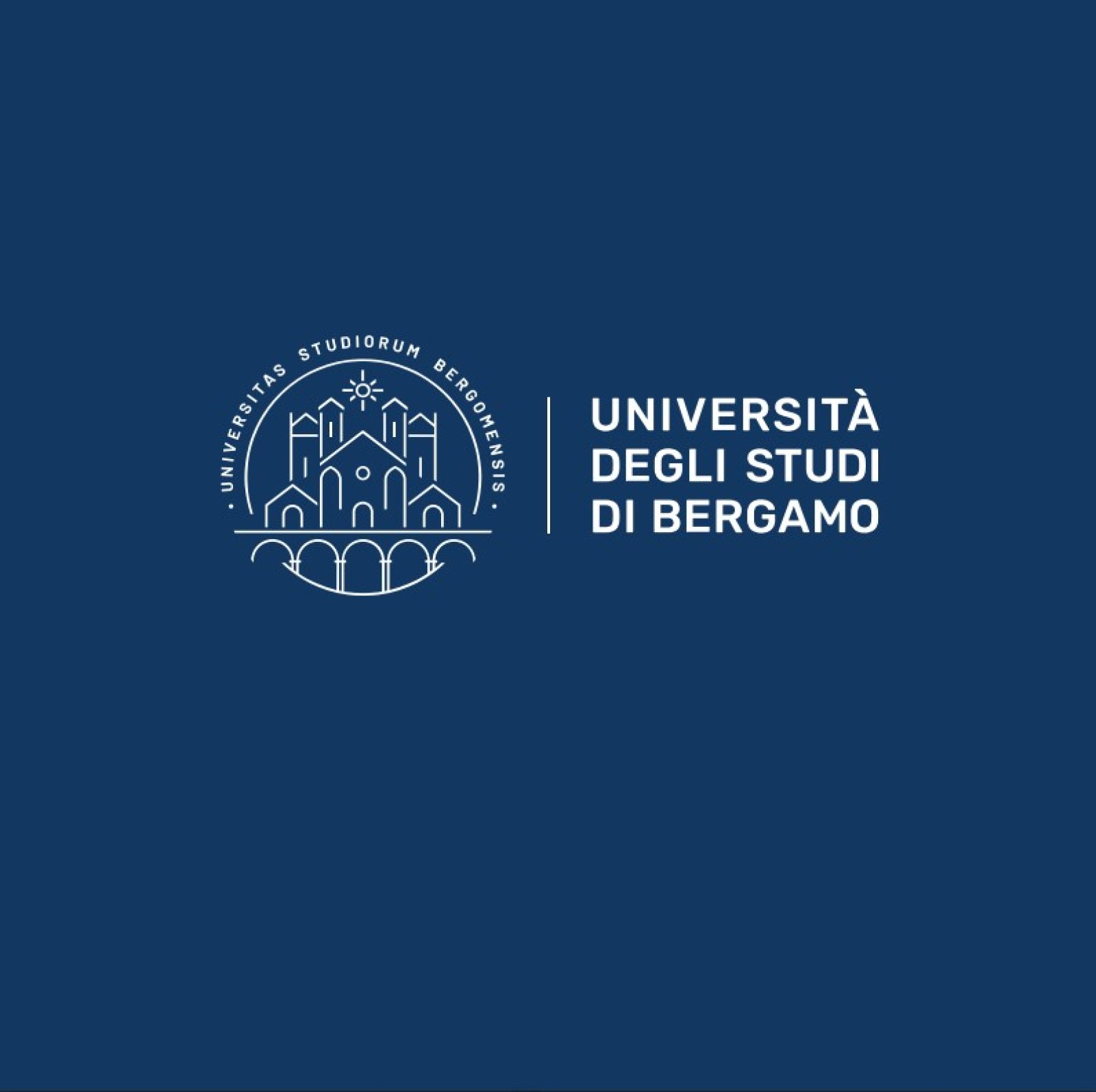 Logo UNIVERSITA' DEGLI STUDI DI BERGAMO