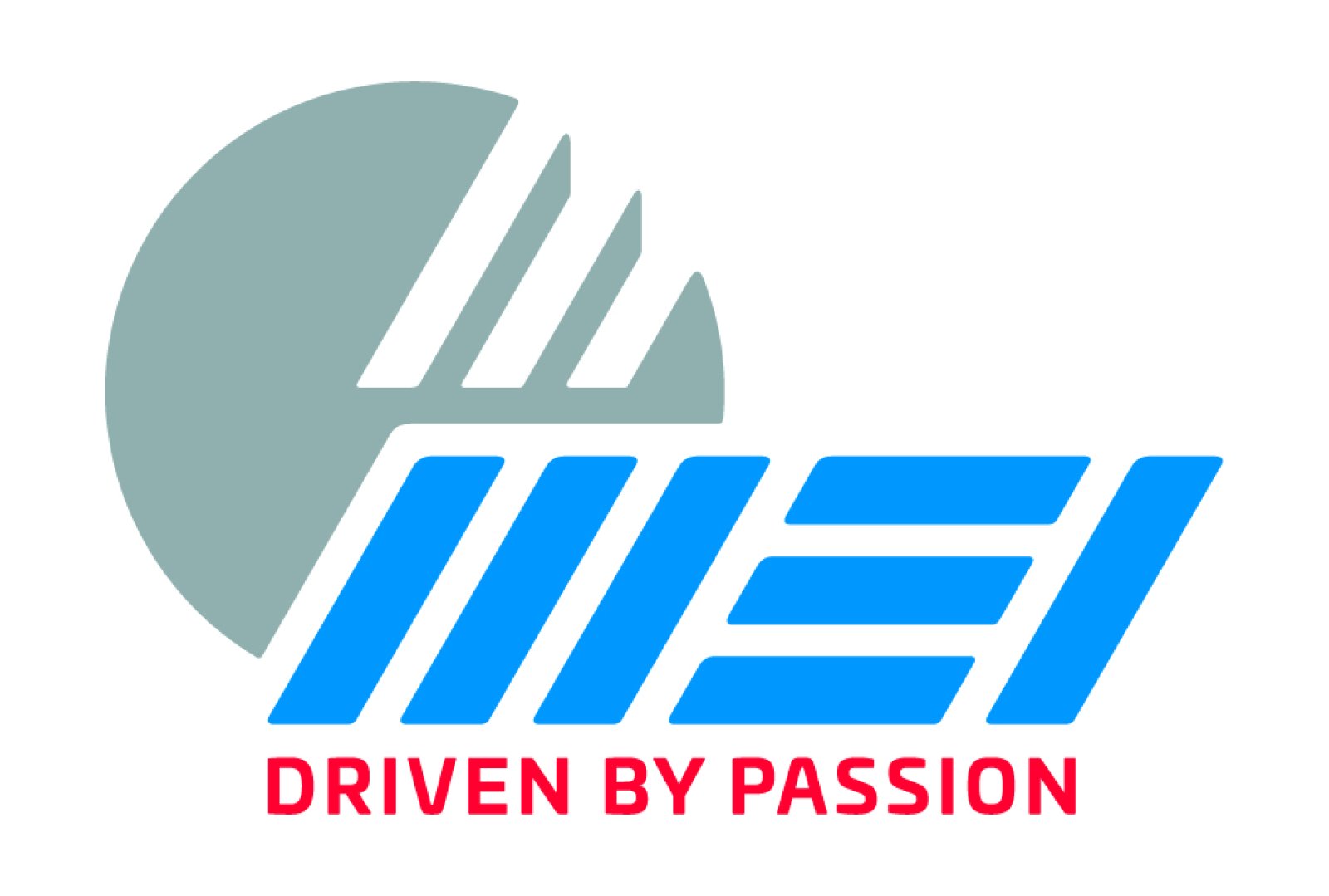 Logo MEI SYSTEM
